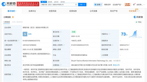 螞蟻數科在武漢成立信息技術公司，深化技術咨詢布局